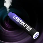 【20種口味】LANA ZOLT 一次性電子煙 8000大容量附挂繩 可充電：圖片 4