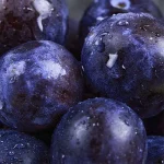 【多肉葡萄】ILIA電子煙彈 適配一代主機 3顆替換裝 發光煙彈：圖片 3