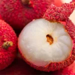 【荔枝甘露】ILIA透明霧化煙彈 適配一代主機 3顆替換裝 發光煙彈：圖片 3