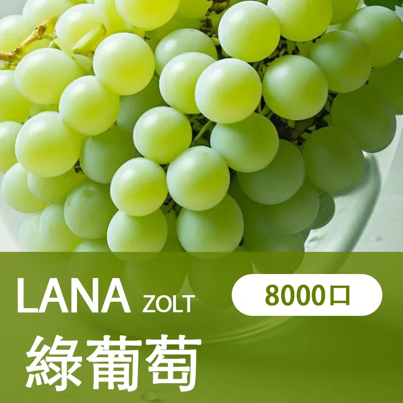 LANA拋棄式一次性電子煙綠葡萄味8000口
