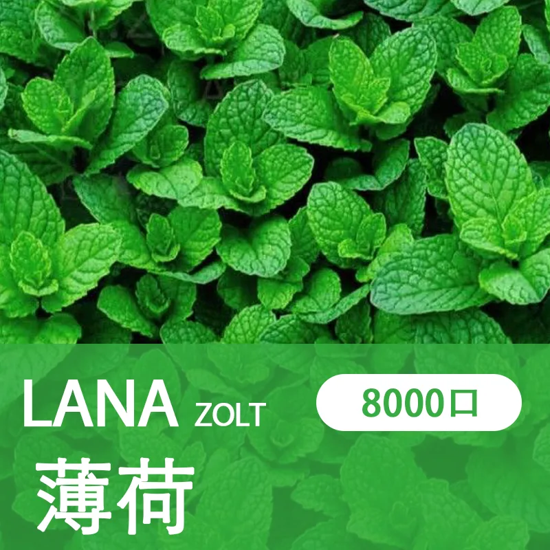 LANA拋棄式一次性電子煙薄荷味8000口